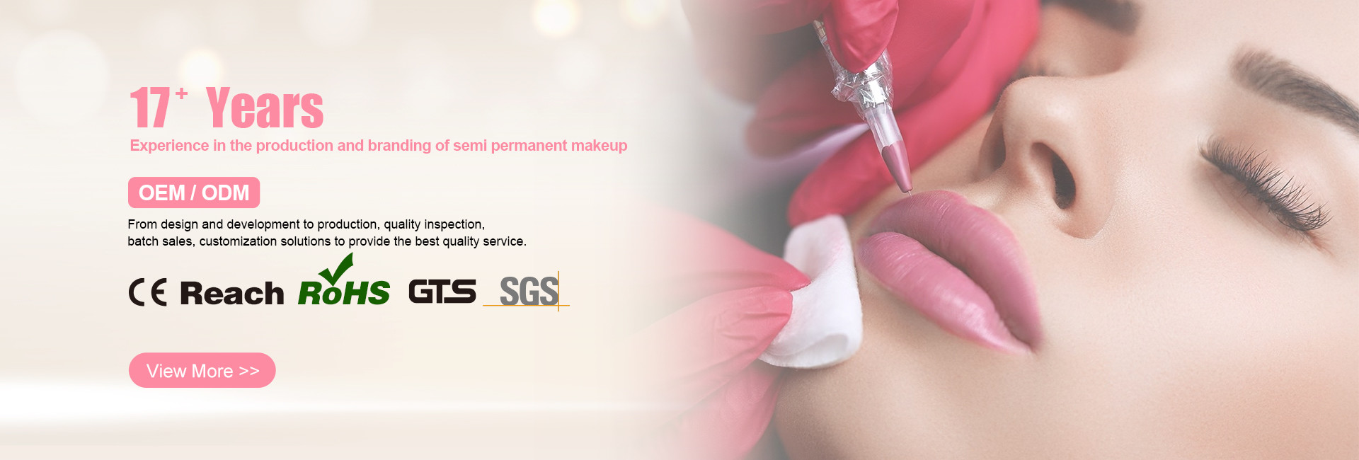 品質 永久的な構造の入れ墨のキット 工場